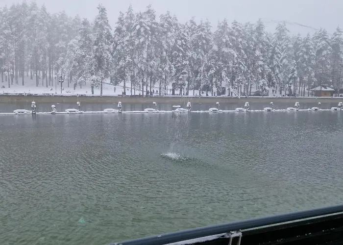 Apartmanxslavica アパート *