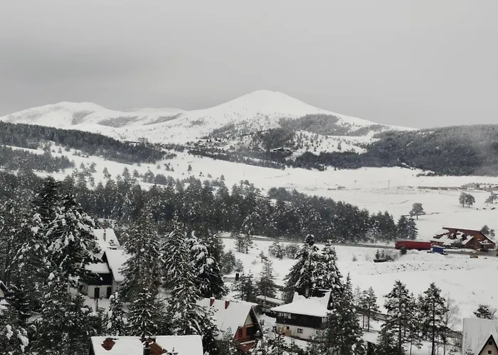 Apartmanxslavica 公寓