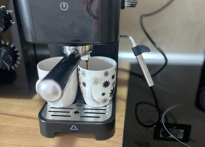 Apartmanxslavica ズラティボール